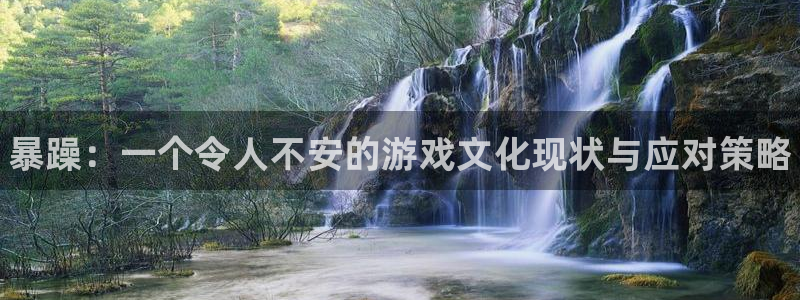 鼎点娱乐娱乐：暴躁：一个令人不安的游戏文化现状与应对策略