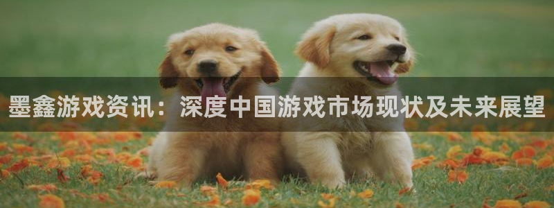 鼎点娱乐平台：墨鑫游戏资讯：深度中国游戏市场现状及未来展望