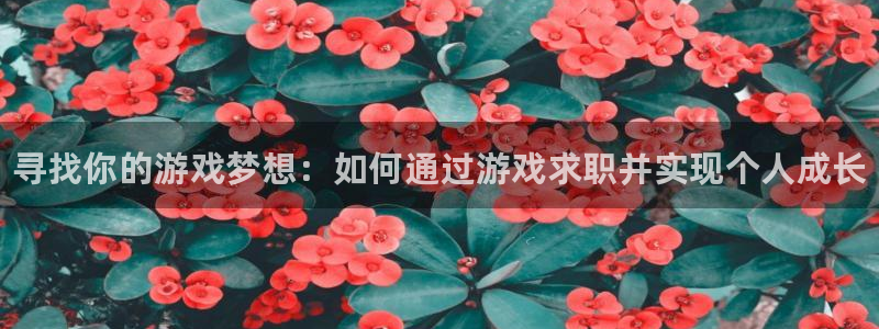 鼎点娱乐注册开户：寻找你的游戏梦想：如何通过游戏求职并实现个