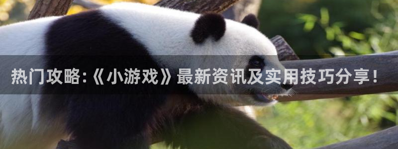 鼎点娱乐是什么：热门攻略:《小游戏》最新资讯及实用技巧分享！