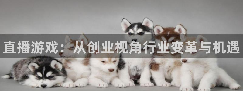 鼎点娱乐的意思