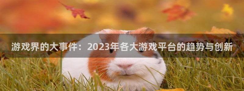 鼎点娱乐平台官网登录：游戏界的大事件：2023年各大游戏平台