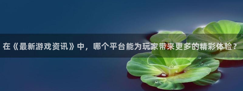 鼎点娱乐app下载|下载地址：在《最新游戏资讯》中，哪个平台