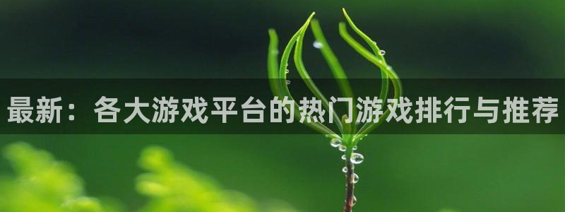 鼎点娱乐测速登陆：最新：各大游戏平台的热门游戏排行与推荐