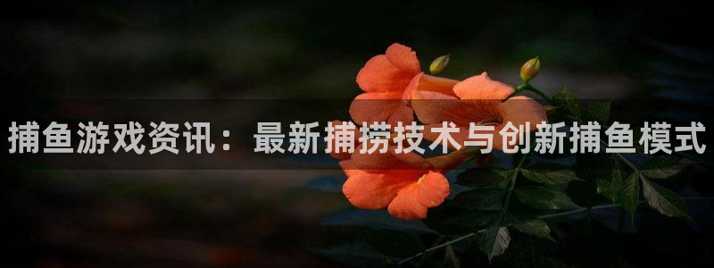 鼎点娱乐平台注册：捕鱼游戏资讯：最新捕捞技术与创新捕鱼模式