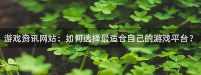 鼎点娱乐集团：游戏资讯网站：如何选择最适合自己的游戏平台？
