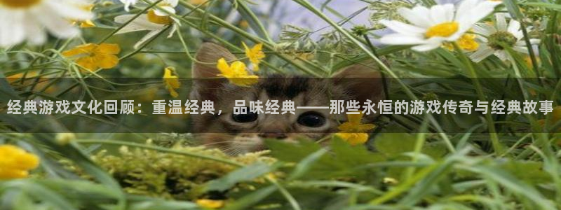 鼎点娱乐app：经典游戏文化回顾：重温经典，品味经典——那些