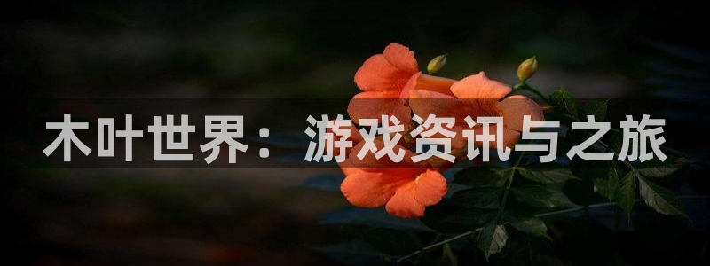 鼎点娱乐登陆地址：木叶世界：游戏资讯与之旅